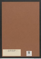 Diatomeae indet. Zeichnungen Sammlung Grunow Mappe 03119 (Herbarium_W_Grunow_drawings_Folder_03119)